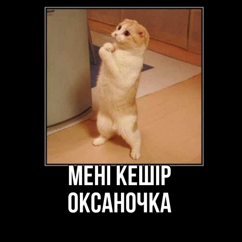 Күн сайын ашық хат с именем, Оксаночка Мені кешір открытка с милым несчастным котиком просящим прощения Онлайн тегін жүктеп алу тілектері бар керемет карта 