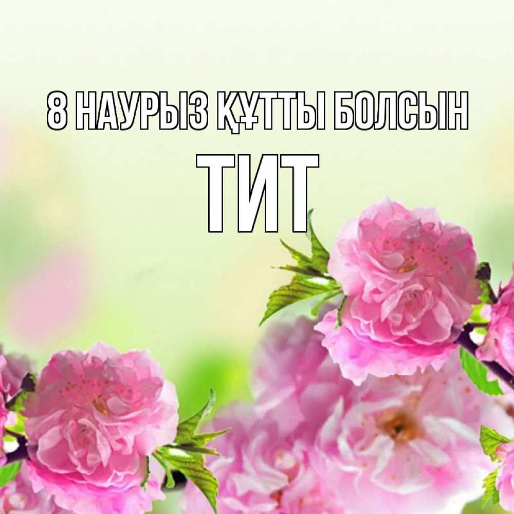 Күн сайын ашық хат с именем, Тит 8 наурыз құтты болсын цветы Онлайн тегін жүктеп алу тілектері бар керемет карта 