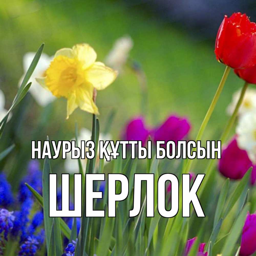 Күн сайын ашық хат с именем, Шерлок Наурыз құтты болсын наурыз  3 открытки Онлайн тегін жүктеп алу тілектері бар керемет карта 