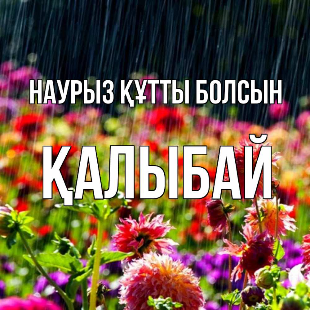 Күн сайын ашық хат с именем, Қалыбай Наурыз құтты болсын цветы под дождиком к наурызу Онлайн тегін жүктеп алу тілектері бар керемет карта 