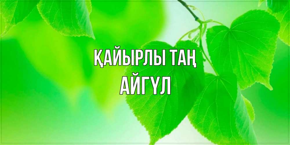 Күн сайын ашық хат с именем, АЙГҮЛ Қайырлы таң доброе утро с березовыми листьями Онлайн тегін жүктеп алу тілектері бар керемет карта 