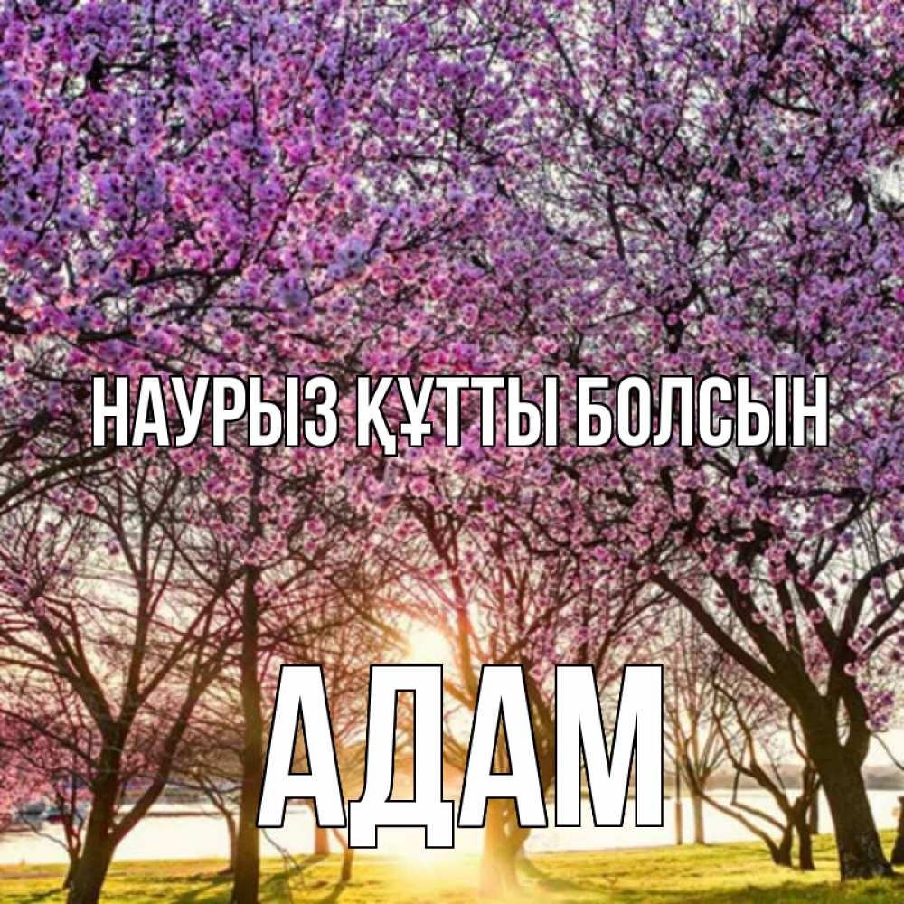 Күн сайын ашық хат с именем, Адам Наурыз құтты болсын наурыз Онлайн тегін жүктеп алу тілектері бар керемет карта 