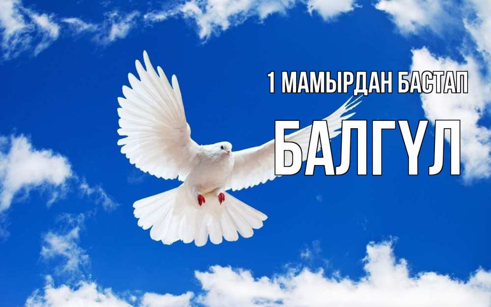 Күн сайын ашық хат с именем, БАЛГҮЛ 1 мамырдан бастап С 1 мая 1 Онлайн тегін жүктеп алу тілектері бар керемет карта 