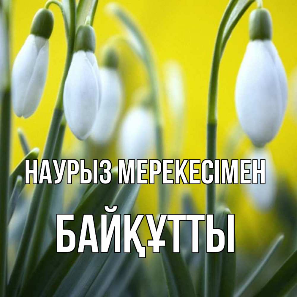 Күн сайын ашық хат с именем, Байқұтты Наурыз мерекесімен весенние цветы Онлайн тегін жүктеп алу тілектері бар керемет карта 