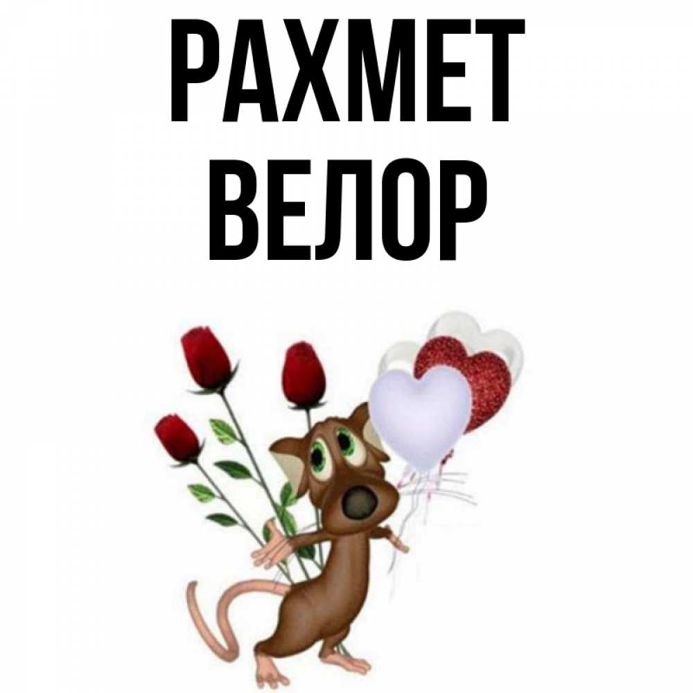 Күн сайын ашық хат с именем, Велор рахмет песик с шариками в форме сердец Онлайн тегін жүктеп алу тілектері бар керемет карта 