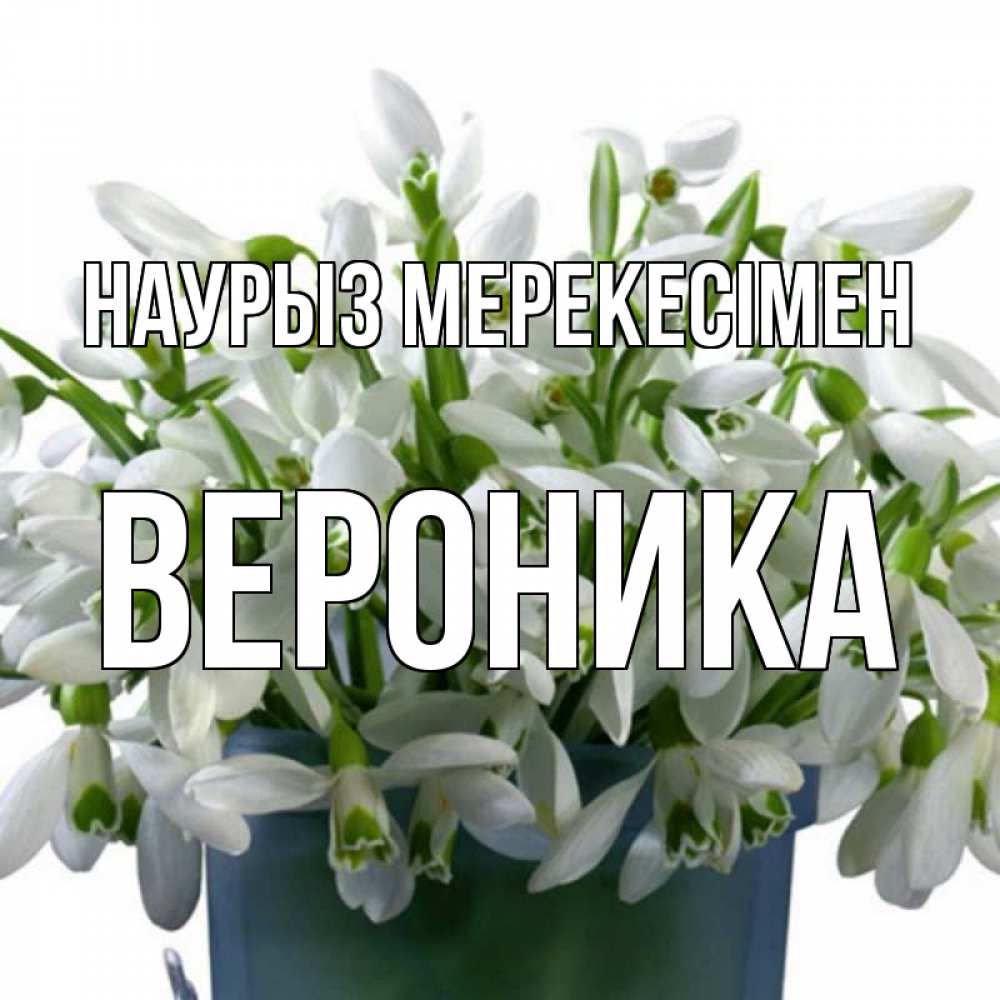 Күн сайын ашық хат с именем, Вероника Наурыз мерекесімен цветы к наурызу новый год в Казахстане Онлайн тегін жүктеп алу тілектері бар керемет карта 