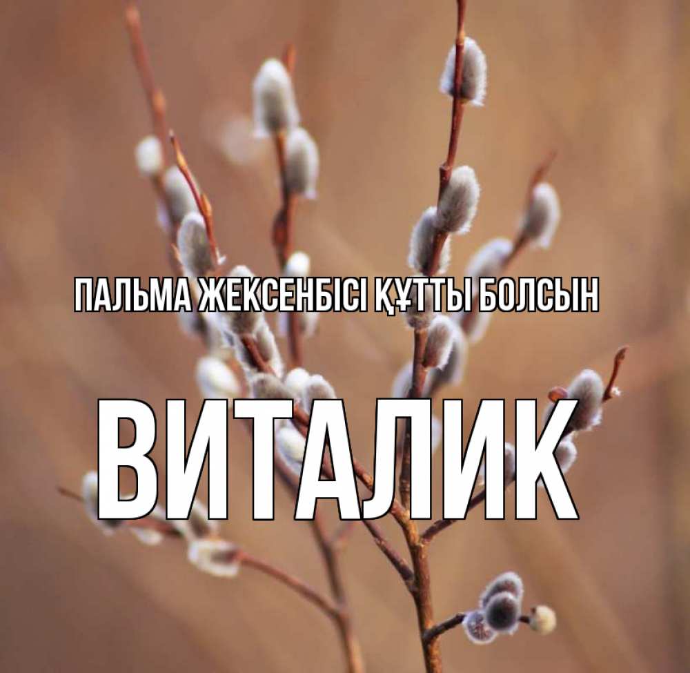 Күн сайын ашық хат с именем, Виталик Пальма жексенбісі құтты болсын верба Онлайн тегін жүктеп алу тілектері бар керемет карта 