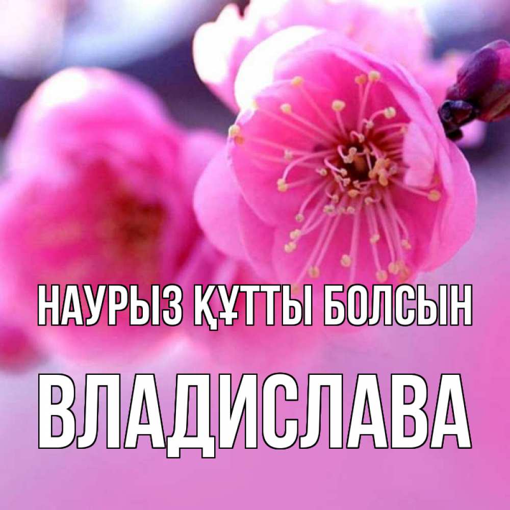 Күн сайын ашық хат с именем, Владислава Наурыз құтты болсын наурыз мейрам Онлайн тегін жүктеп алу тілектері бар керемет карта 