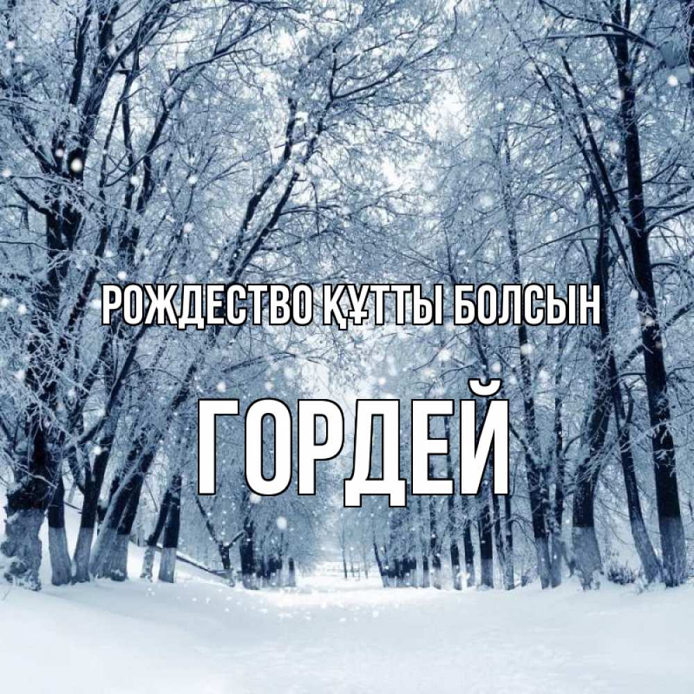 Күн сайын ашық хат с именем, Гордей Рождество құтты болсын снег, лес, парк Онлайн тегін жүктеп алу тілектері бар керемет карта 