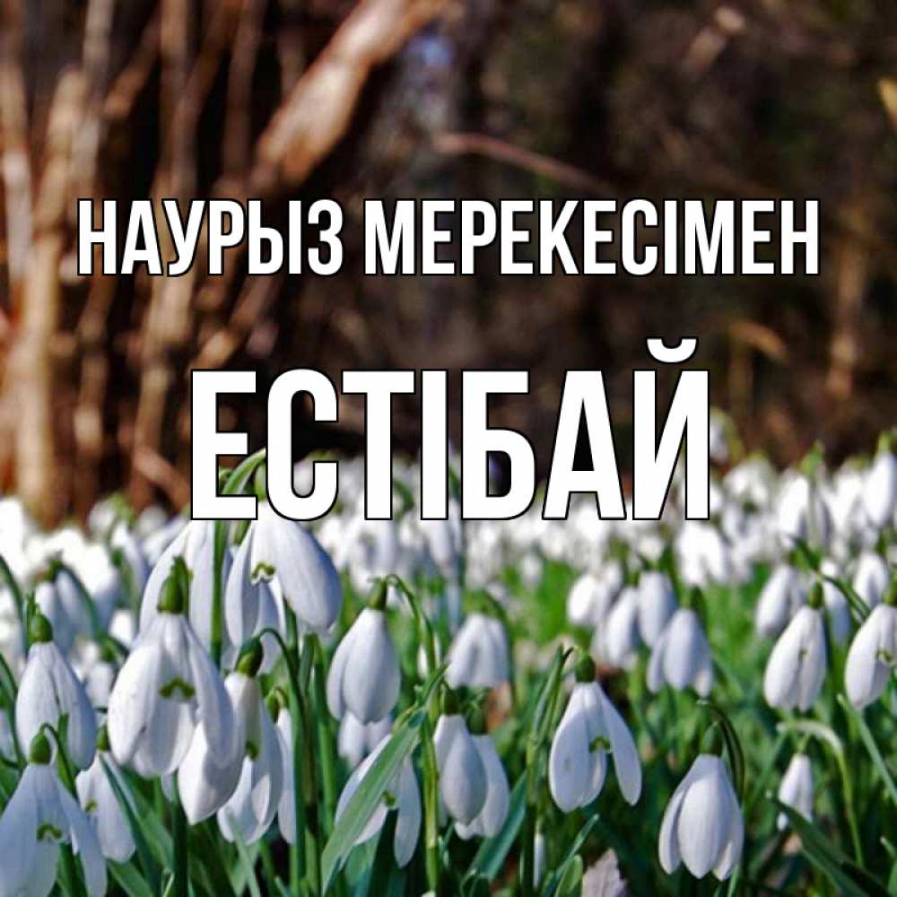 Күн сайын ашық хат с именем, Естібай Наурыз мерекесімен с подснежниками 1 Онлайн тегін жүктеп алу тілектері бар керемет карта 