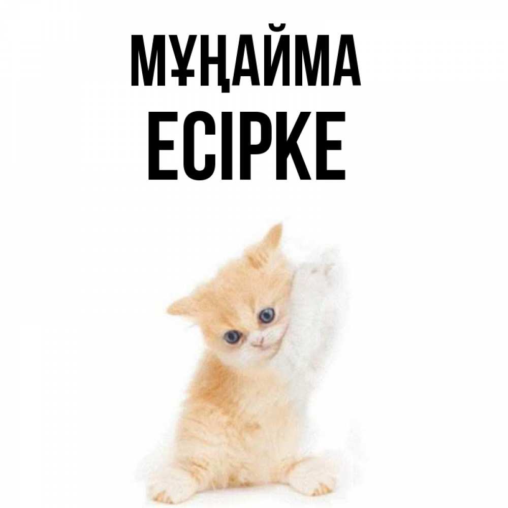 Күн сайын ашық хат с именем, Есірке Мұңайма просящий кот Онлайн тегін жүктеп алу тілектері бар керемет карта 