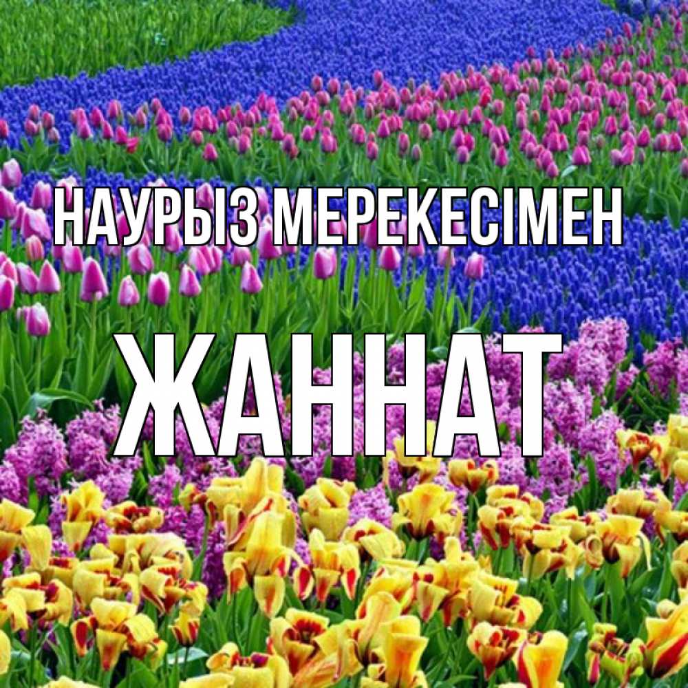 Күн сайын ашық хат с именем, ЖАННАТ Наурыз мерекесімен цветы Онлайн тегін жүктеп алу тілектері бар керемет карта 