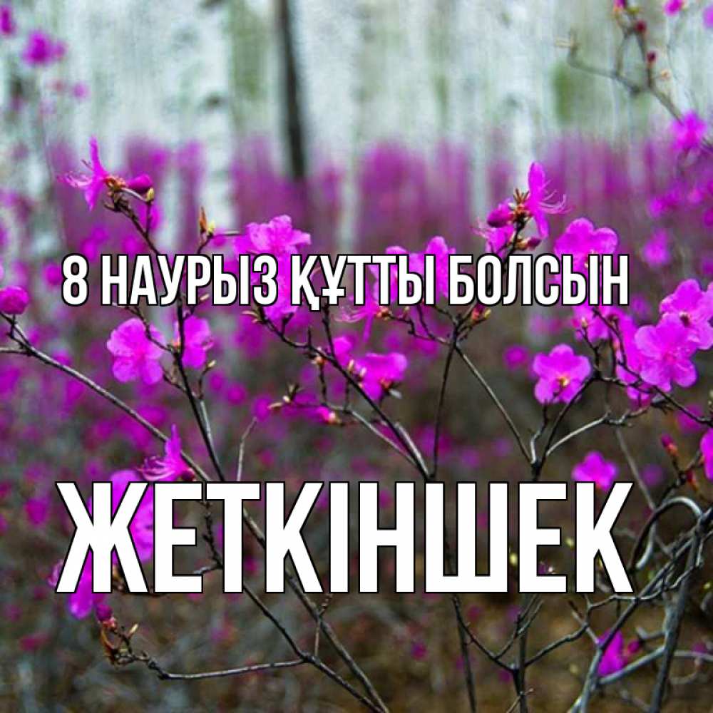 Күн сайын ашық хат с именем, Жеткіншек 8 наурыз құтты болсын дикие цветы Онлайн тегін жүктеп алу тілектері бар керемет карта 