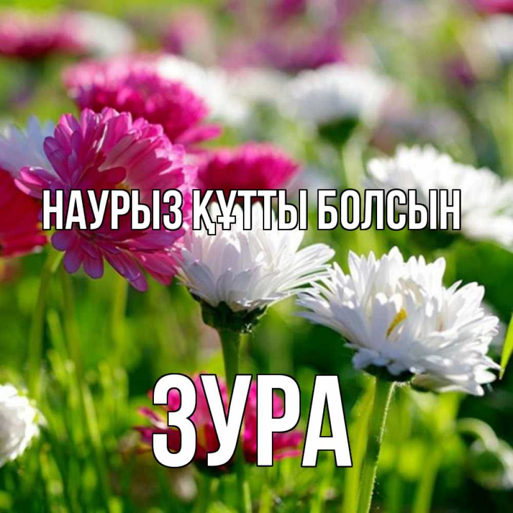Күн сайын ашық хат с именем, ЗУРА Наурыз құтты болсын наурыз Онлайн тегін жүктеп алу тілектері бар керемет карта 