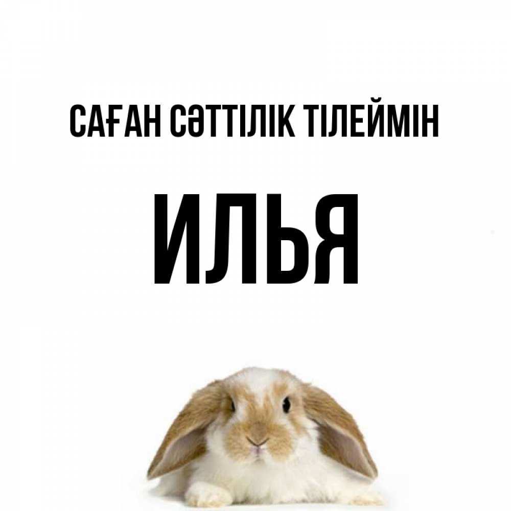 Күн сайын ашық хат с именем, Илья Саған сәттілік тілеймін открытки с произвольным текстом который можно вставить в открытку и создать ее самостоятельно бесплатно онлайн Онлайн тегін жүктеп алу тілектері бар керемет карта 