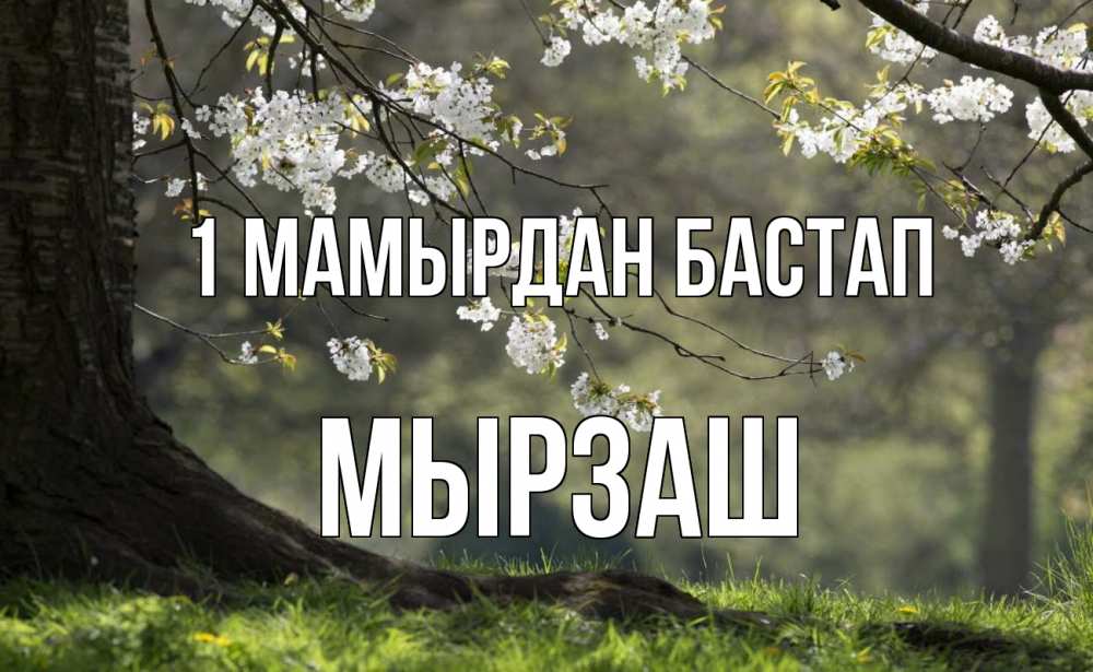 Күн сайын ашық хат с именем, Мырзаш 1 мамырдан бастап С 1 мая Онлайн тегін жүктеп алу тілектері бар керемет карта 