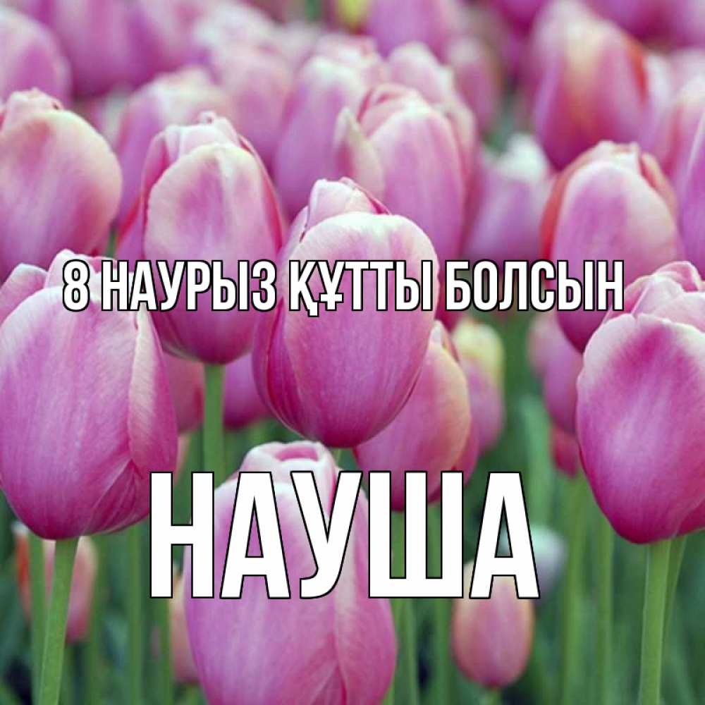 Күн сайын ашық хат с именем, НАУША 8 наурыз құтты болсын на международный женский день 3 Онлайн тегін жүктеп алу тілектері бар керемет карта 