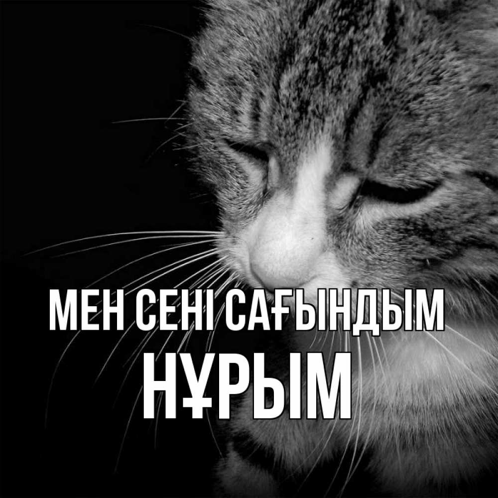 Күн сайын ашық хат с именем, Нұрым Мен сені сағындым мне скучно Онлайн тегін жүктеп алу тілектері бар керемет карта 