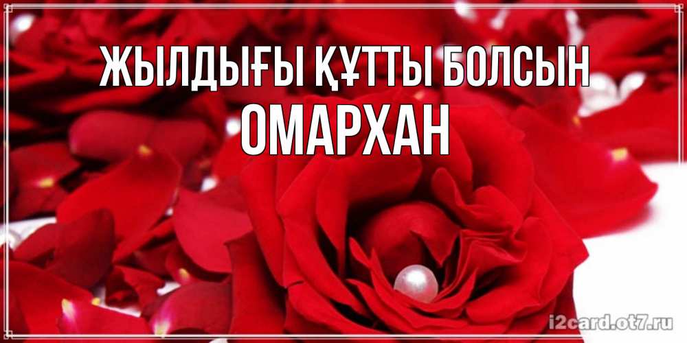 Күн сайын ашық хат с именем, ОМАРХАН Жылдығы құтты болсын роза с жемчужиной на открытке для любимых Онлайн тегін жүктеп алу тілектері бар керемет карта 