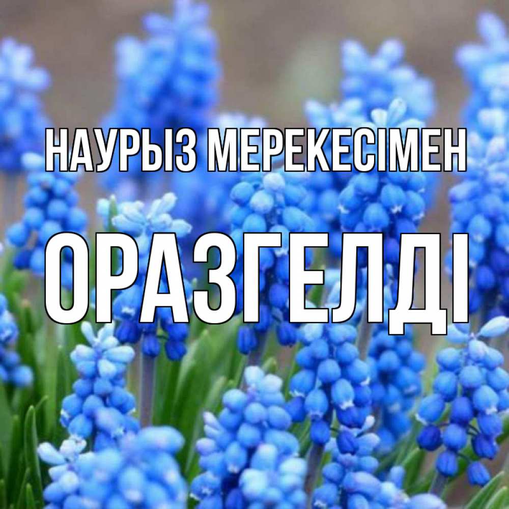 Күн сайын ашық хат с именем, ОРАЗГЕЛДІ Наурыз мерекесімен Поздравительная открытка для женщин с цветами на праздничную дату Онлайн тегін жүктеп алу тілектері бар керемет карта 