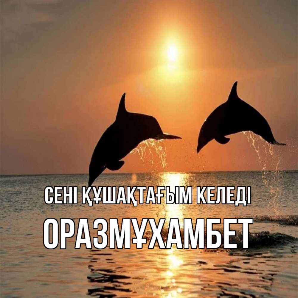 Күн сайын ашық хат с именем, ОРАЗМҰХАМБЕТ сені құшақтағым келеді рыбы на закате Онлайн тегін жүктеп алу тілектері бар керемет карта 