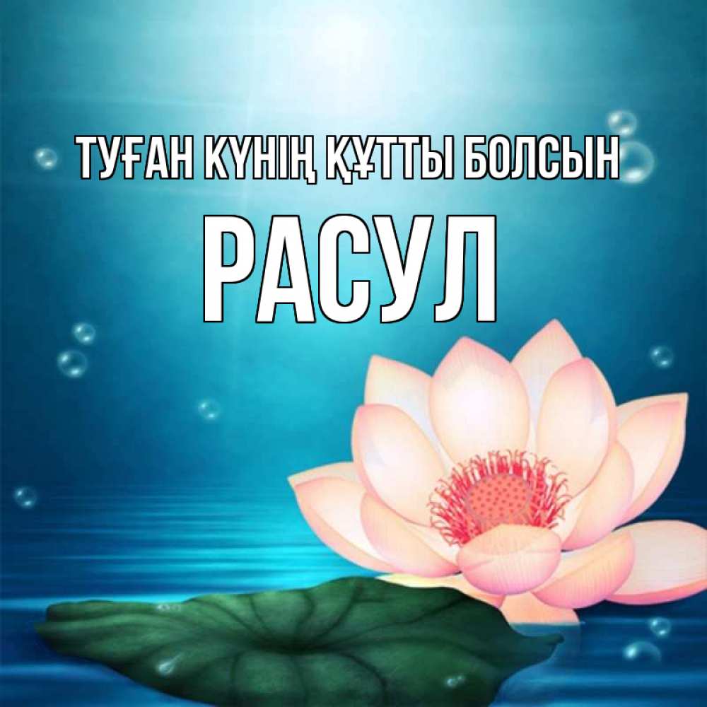 Күн сайын ашық хат с именем, РАСУЛ Туған күнің құтты болсын кувшинка Онлайн тегін жүктеп алу тілектері бар керемет карта 