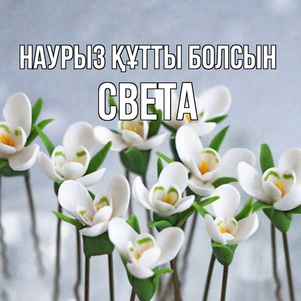 Күн сайын ашық хат с именем, Света Наурыз құтты болсын весенние цветы Онлайн тегін жүктеп алу тілектері бар керемет карта 