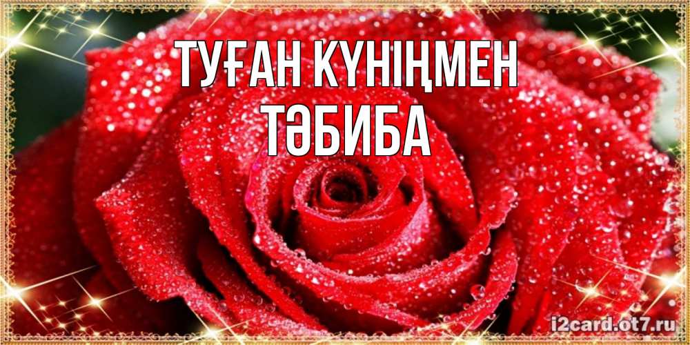 Күн сайын ашық хат с именем, ТӘБИБА Туған күніңмен роса и роза. открытка с красивой розой Онлайн тегін жүктеп алу тілектері бар керемет карта 