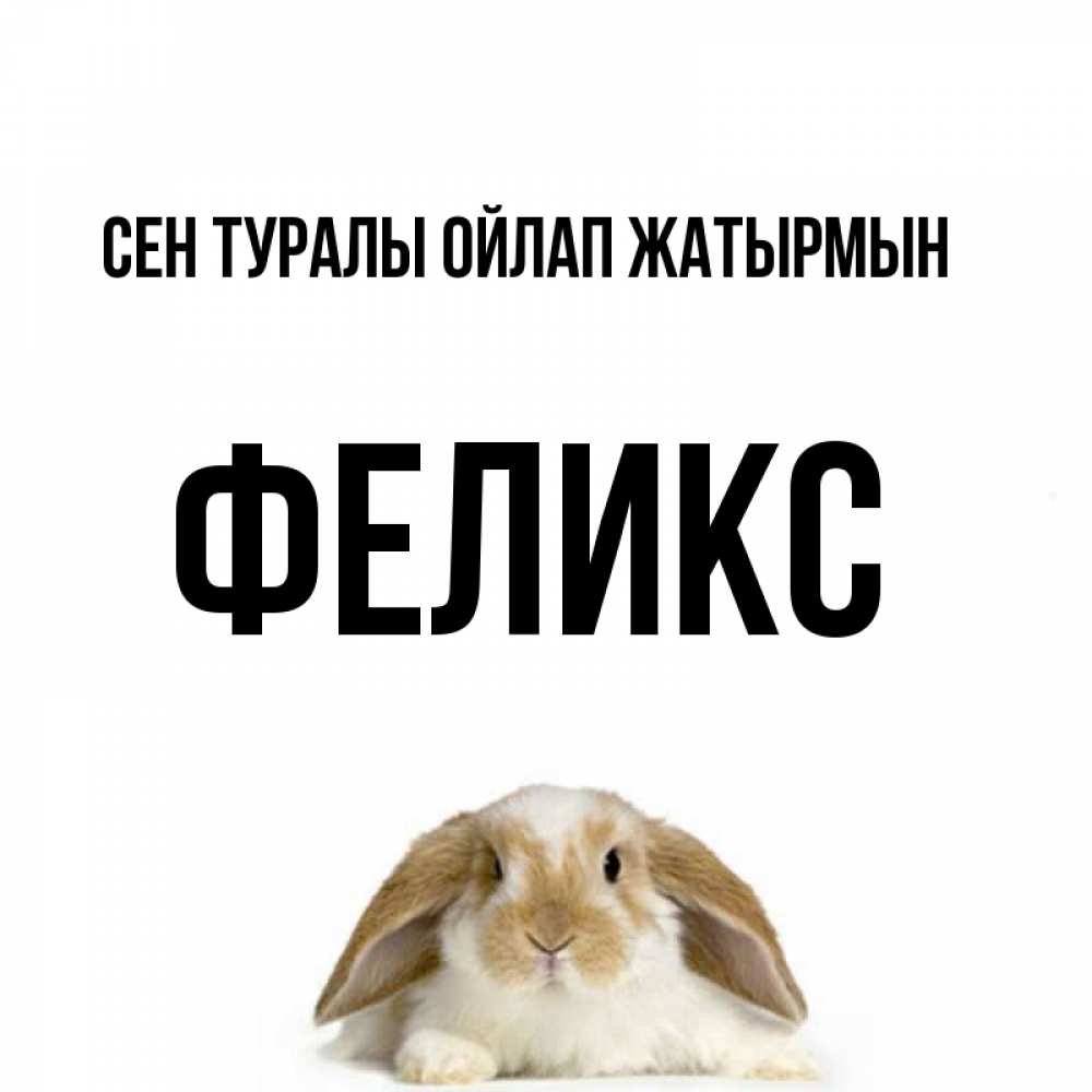 Күн сайын ашық хат с именем, Феликс Сен туралы ойлап жатырмын подписать своими руками онлайн Онлайн тегін жүктеп алу тілектері бар керемет карта 