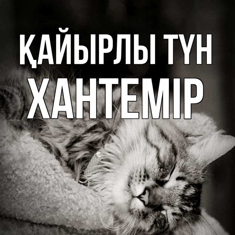 Күн сайын ашық хат с именем, ХАНТЕМІР Қайырлы түн котярик пушистый Онлайн тегін жүктеп алу тілектері бар керемет карта 