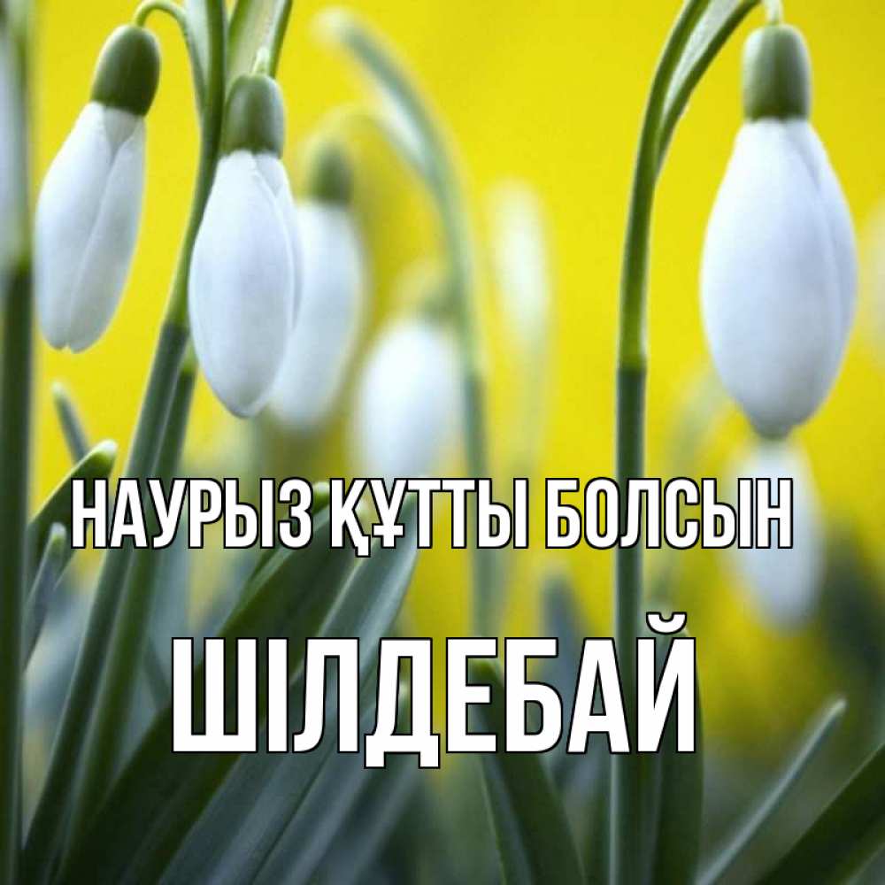 Күн сайын ашық хат с именем, ШІЛДЕБАЙ Наурыз құтты болсын весенние цветы Онлайн тегін жүктеп алу тілектері бар керемет карта 