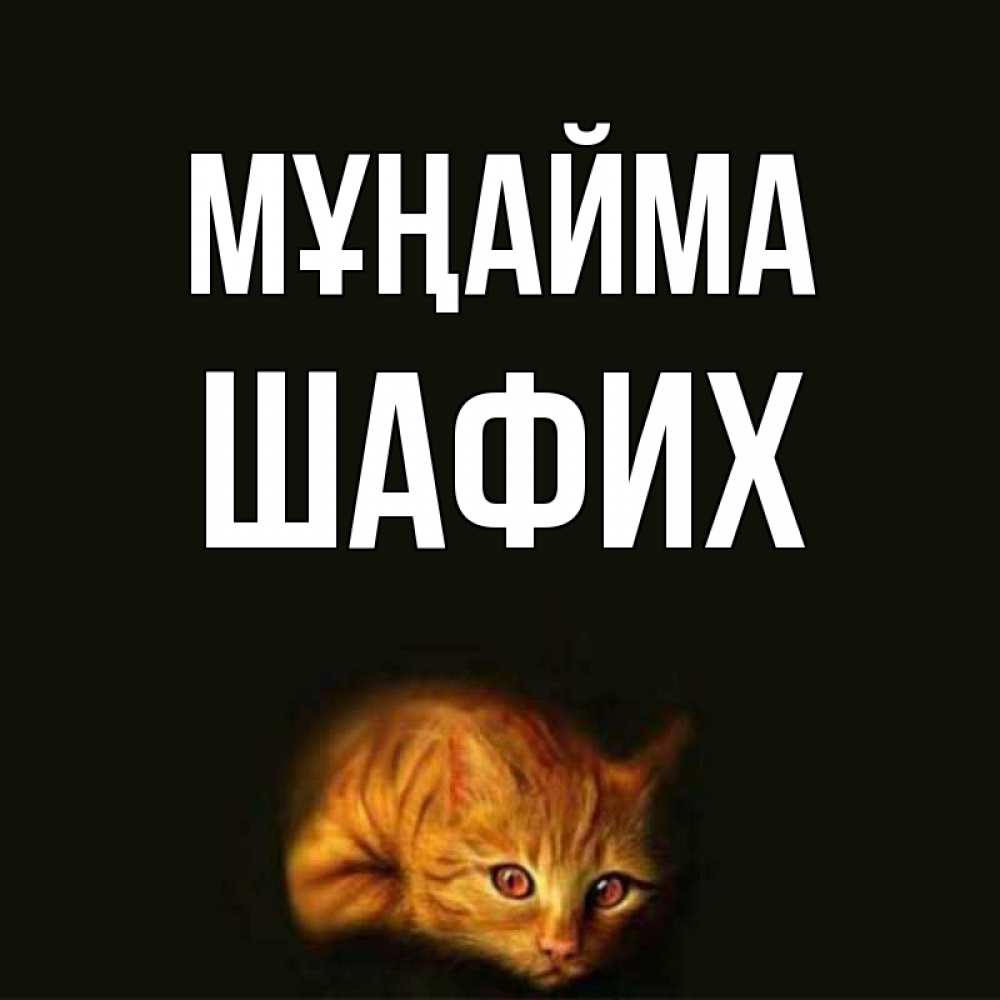 Күн сайын ашық хат с именем, ШАФИХ Мұңайма лежащий кот в темноте Онлайн тегін жүктеп алу тілектері бар керемет карта 