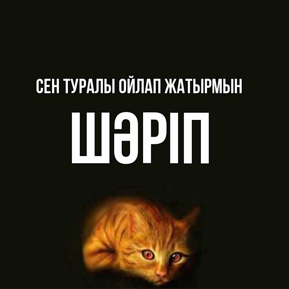 Күн сайын ашық хат с именем, ШӘРІП Сен туралы ойлап жатырмын рыжий Онлайн тегін жүктеп алу тілектері бар керемет карта 
