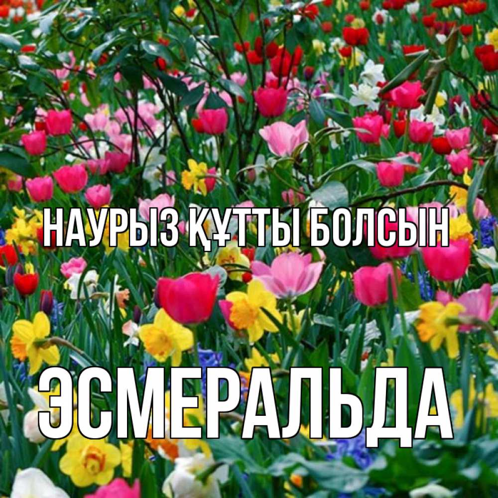 Күн сайын ашық хат с именем, Эсмеральда Наурыз құтты болсын с наурызом поздравления для женщины Онлайн тегін жүктеп алу тілектері бар керемет карта 