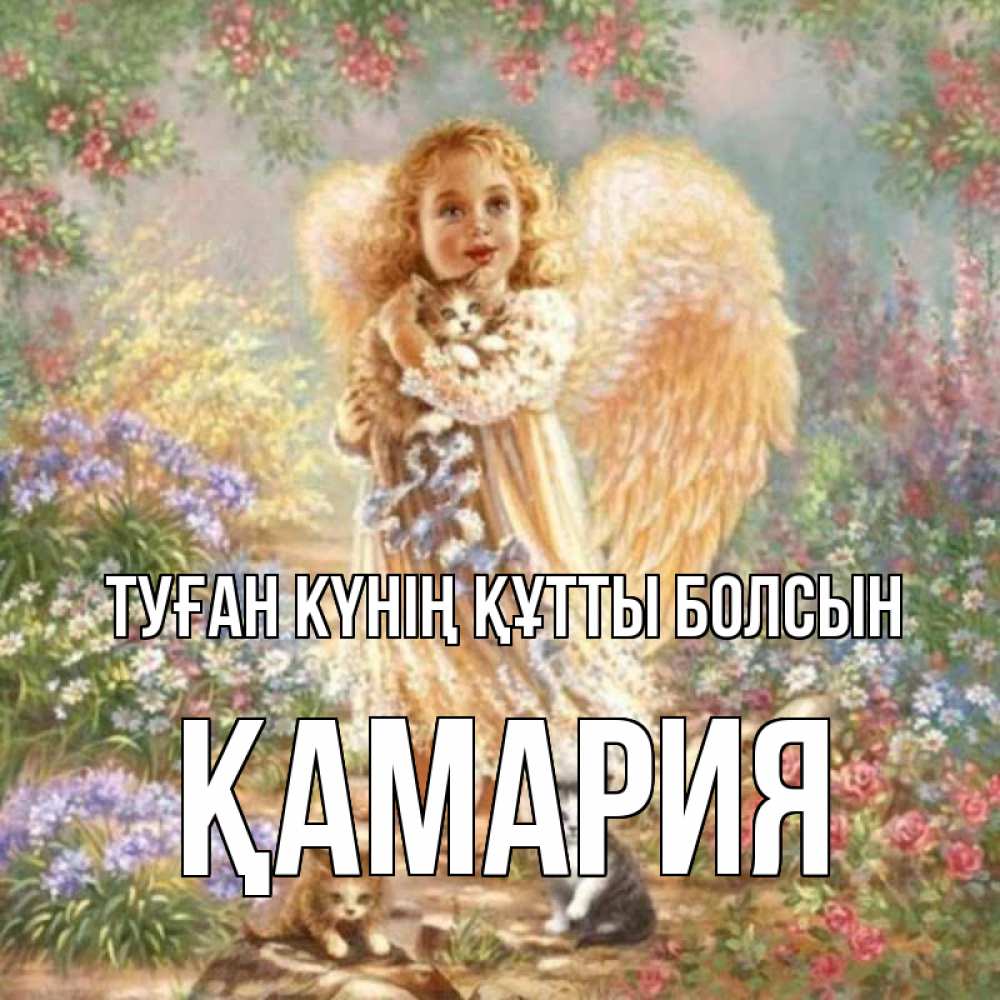 Күн сайын ашық хат с именем, ҚАМАРИЯ Туған күнің құтты болсын держит котенка Онлайн тегін жүктеп алу тілектері бар керемет карта 
