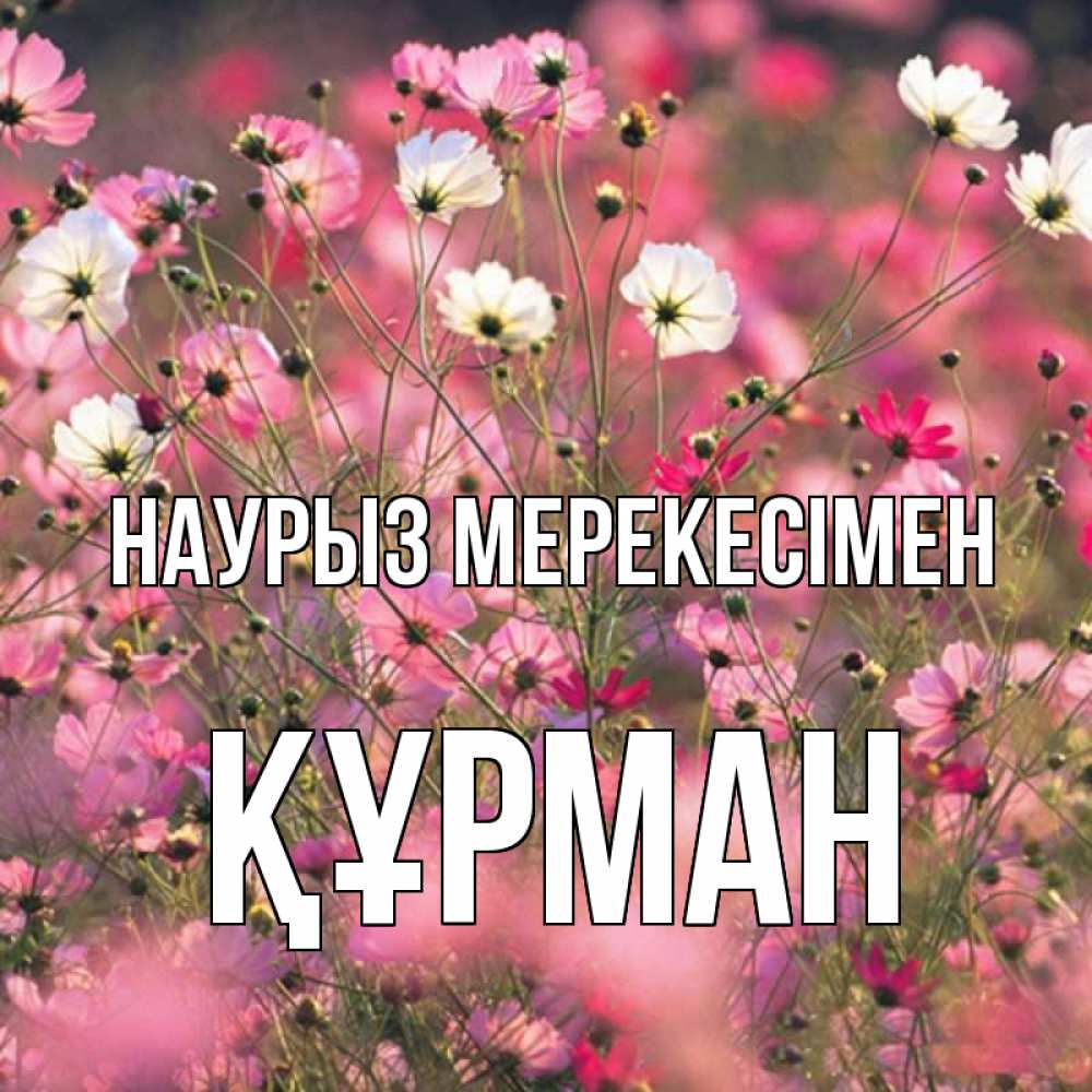 Күн сайын ашық хат с именем, ҚҰРМАН Наурыз мерекесімен красиво 1 Онлайн тегін жүктеп алу тілектері бар керемет карта 
