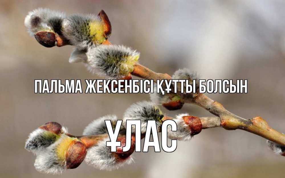 Күн сайын ашық хат с именем, ҰЛАС Пальма жексенбісі құтты болсын Верба Онлайн тегін жүктеп алу тілектері бар керемет карта 