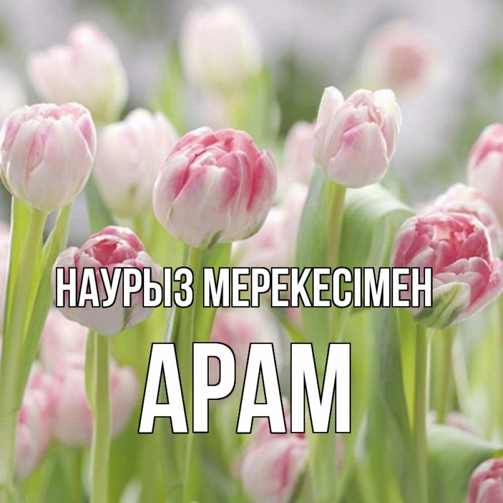 Күн сайын ашық хат с именем, Арам Наурыз мерекесімен цветы Онлайн тегін жүктеп алу тілектері бар керемет карта 