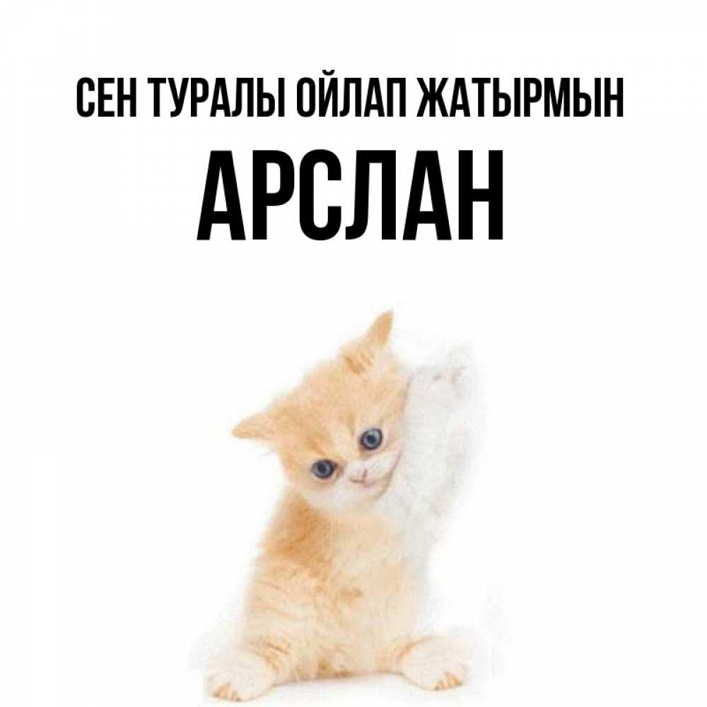 Күн сайын ашық хат с именем, Арслан Сен туралы ойлап жатырмын зверушки и милота Онлайн тегін жүктеп алу тілектері бар керемет карта 