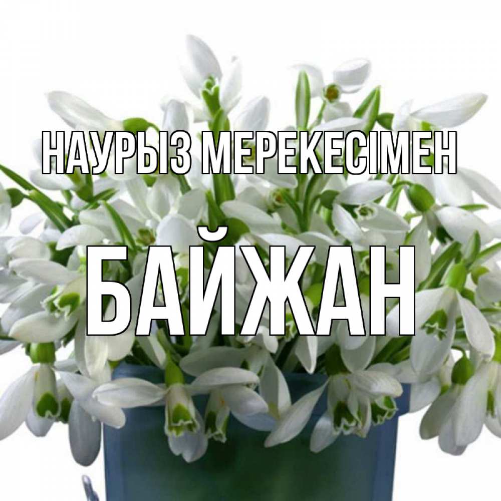 Күн сайын ашық хат с именем, Байжан Наурыз мерекесімен цветы к наурызу новый год в Казахстане Онлайн тегін жүктеп алу тілектері бар керемет карта 