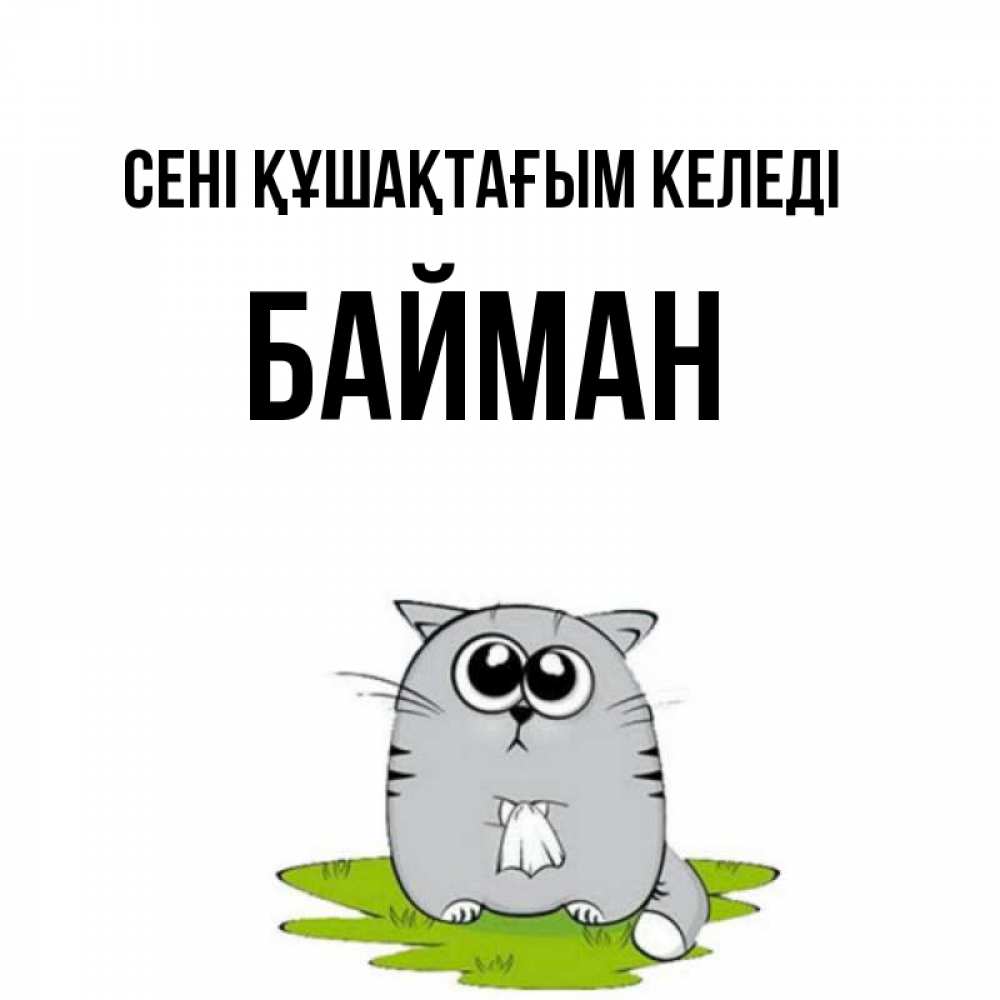 Күн сайын ашық хат с именем, Байман сені құшақтағым келеді котик теребит платочек сидя на травке Онлайн тегін жүктеп алу тілектері бар керемет карта 