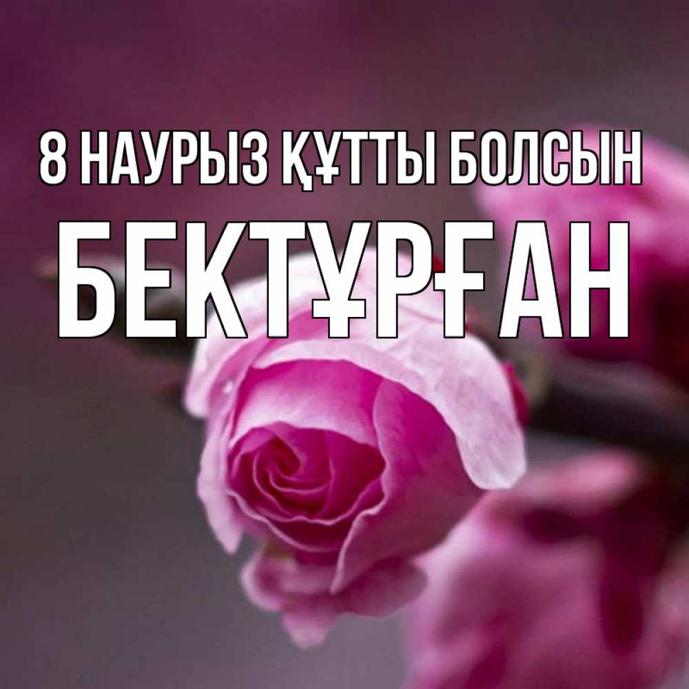 Күн сайын ашық хат с именем, Бектұрған 8 наурыз құтты болсын весна Онлайн тегін жүктеп алу тілектері бар керемет карта 