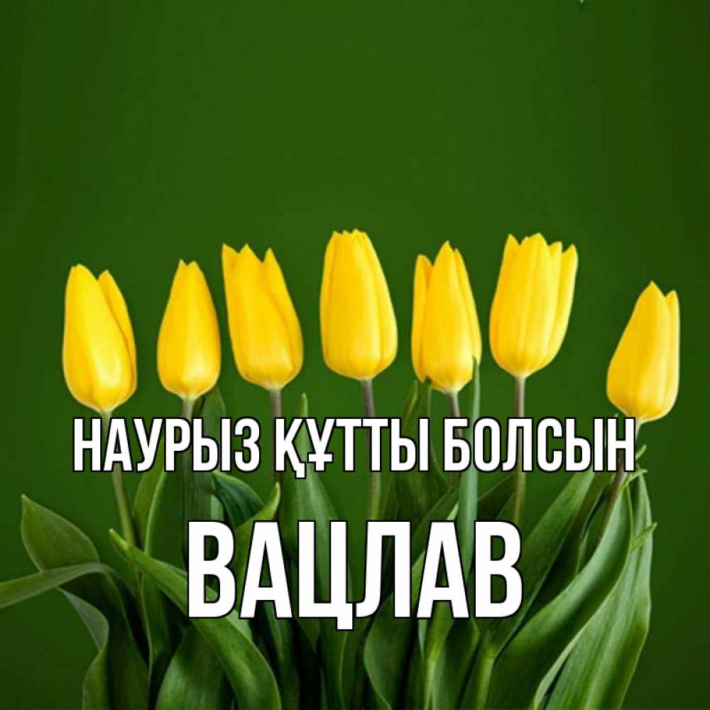 Күн сайын ашық хат с именем, Вацлав Наурыз құтты болсын желтого цвета 3 Онлайн тегін жүктеп алу тілектері бар керемет карта 