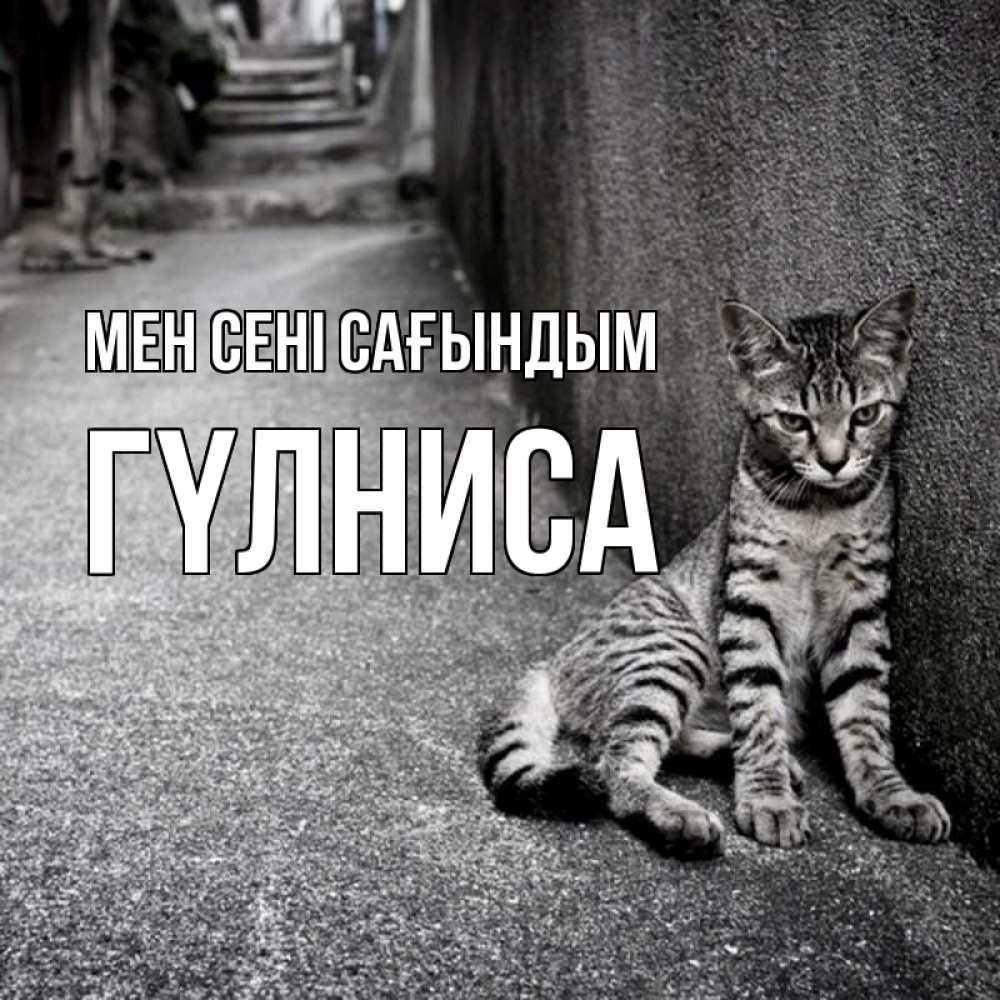 Күн сайын ашық хат с именем, ГҮЛНИСА Мен сені сағындым одиноко котику Онлайн тегін жүктеп алу тілектері бар керемет карта 