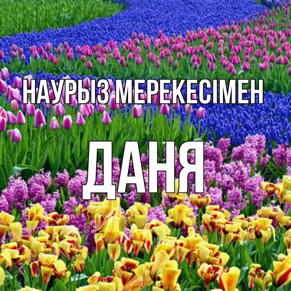 Күн сайын ашық хат с именем, Даня Наурыз мерекесімен цветы Онлайн тегін жүктеп алу тілектері бар керемет карта 