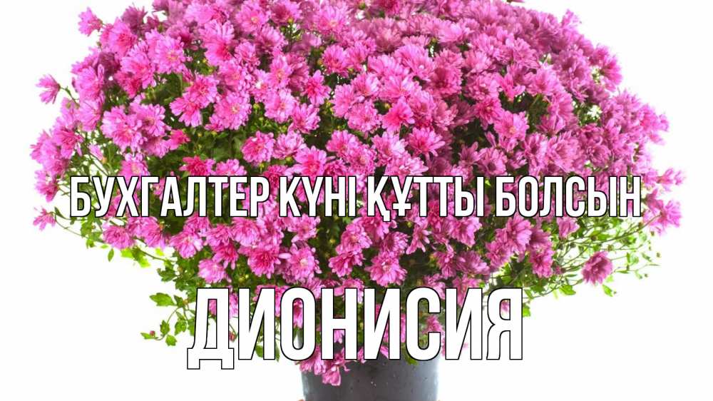 Күн сайын ашық хат с именем, Дионисия бухгалтер күні құтты болсын с днем бухгалтера Онлайн тегін жүктеп алу тілектері бар керемет карта 