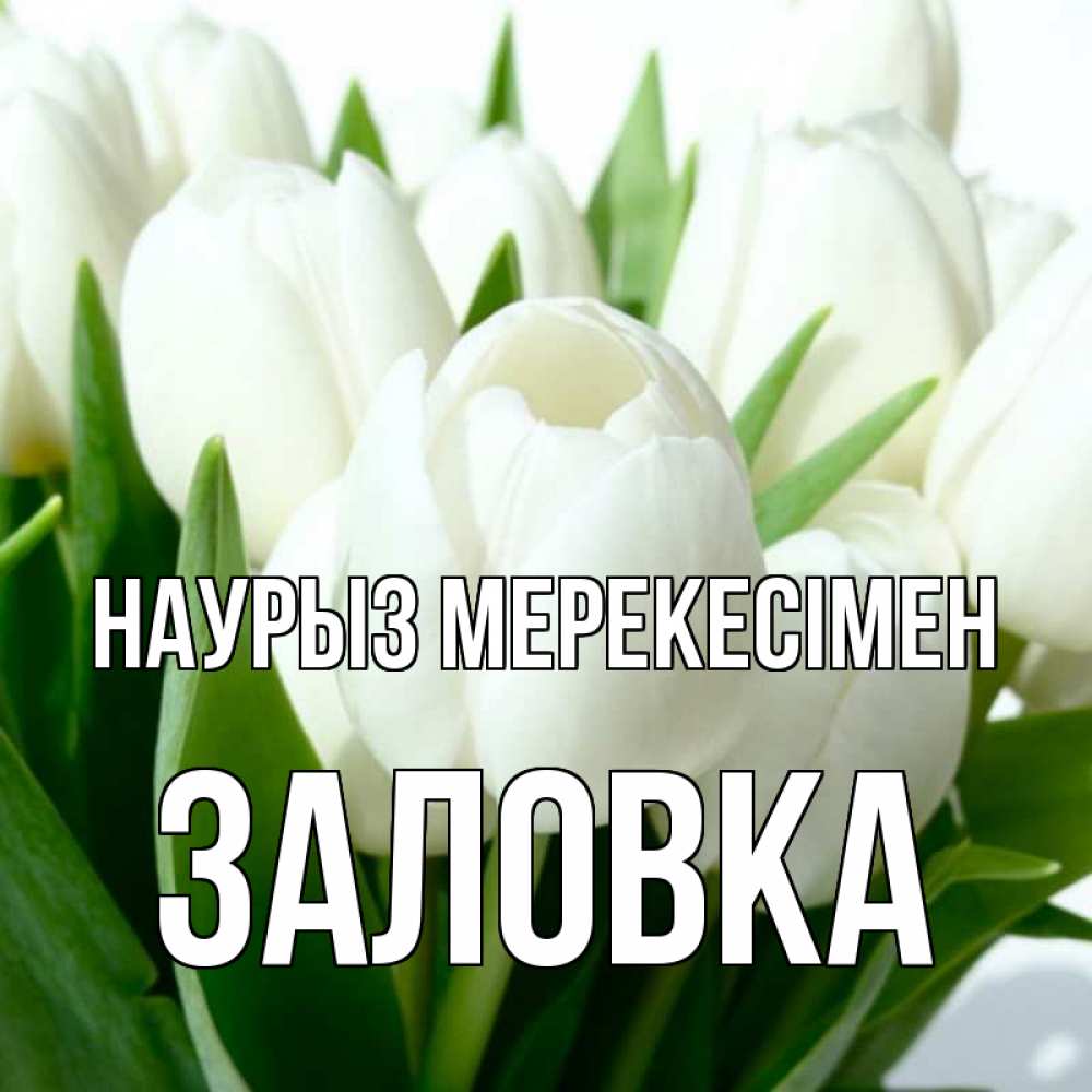 Күн сайын ашық хат с именем, Заловка Наурыз мерекесімен цветы Онлайн тегін жүктеп алу тілектері бар керемет карта 