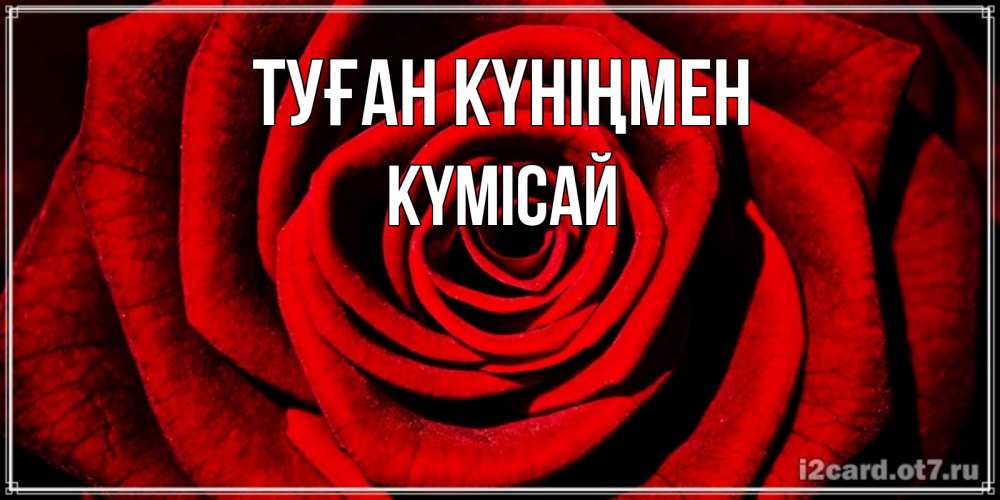 Күн сайын ашық хат с именем, КҮМІСАЙ Туған күніңмен алая роза Онлайн тегін жүктеп алу тілектері бар керемет карта 