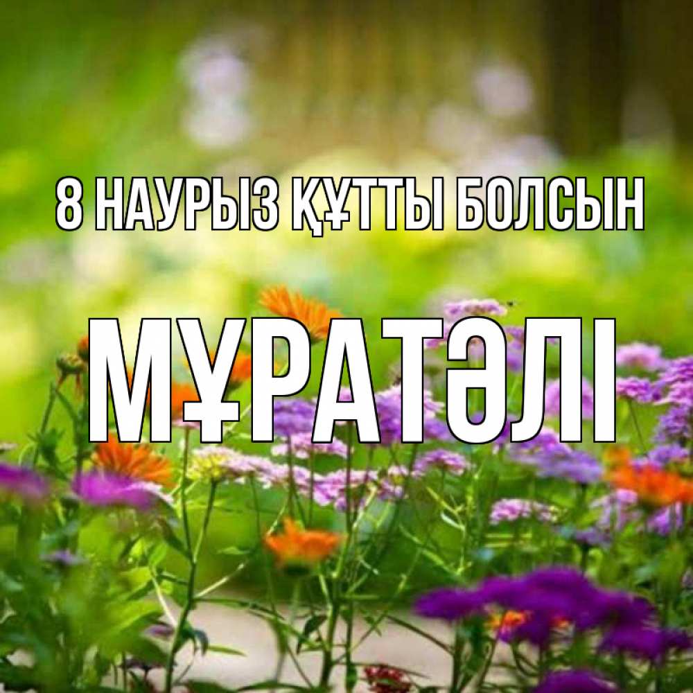 Күн сайын ашық хат с именем, Мұратәлі 8 наурыз құтты болсын цветы Онлайн тегін жүктеп алу тілектері бар керемет карта 