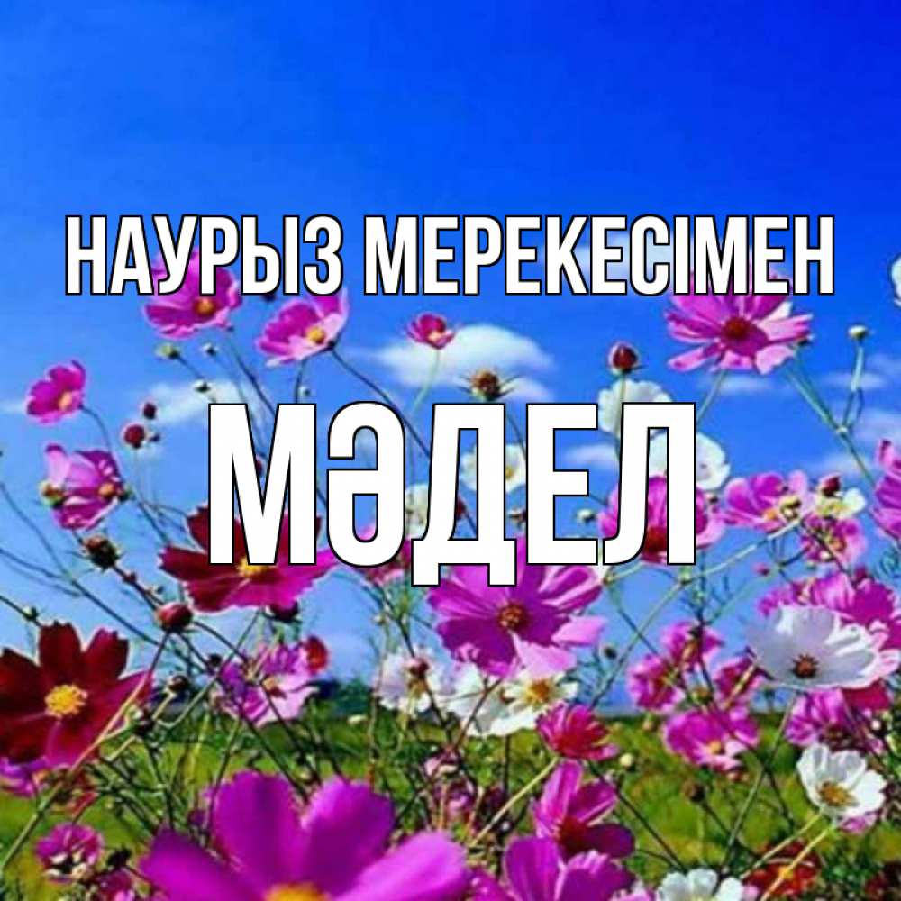 Күн сайын ашық хат с именем, МӘДЕЛ Наурыз мерекесімен цветы Онлайн тегін жүктеп алу тілектері бар керемет карта 